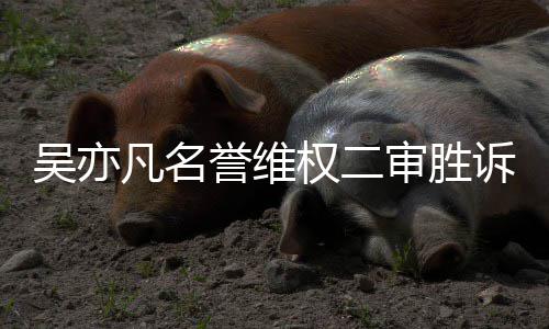 驳回被告吴亦权二凡名法院审胜诉 上诉誉维